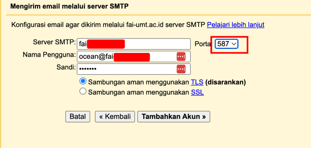Cara Menggunakan Email Domain Sendiri di Gmail - masukkan detail smtp domain sendiri